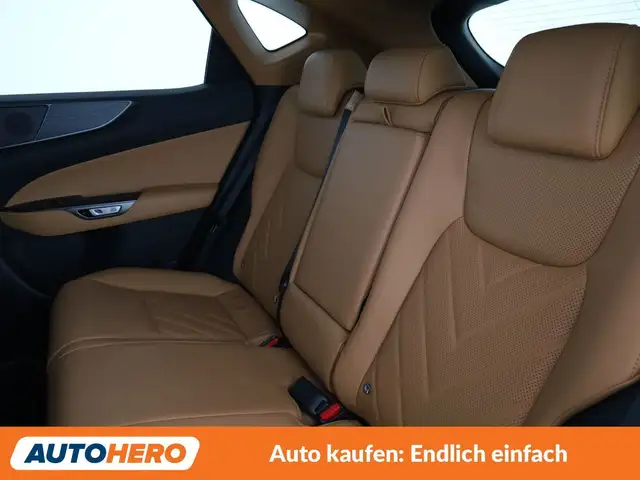 Lexus NX view 14