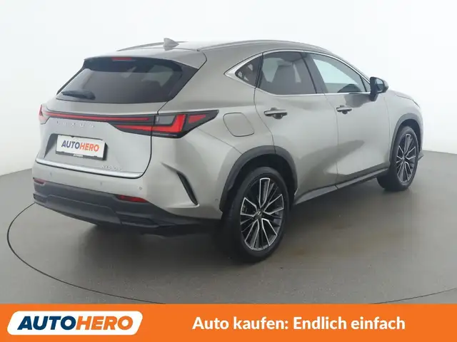 Lexus NX view 6