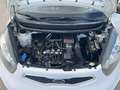 Kia Picanto Picanto 1.0 Easy bi-fuel - thumbnail 10