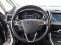 Ford S-Max 2.0 EcoBlue Titanium Aut 7-SITZER AHK NAVI Silber - thumbnail 20
