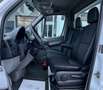 Mercedes-Benz Sprinter II Pritsche 311 CDI 3 Sitzer HU neu Blanc - thumbnail 9