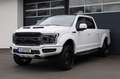 Ford F 150 5.0 V8 4x4/LED/APPLE/SHZ/AHK/KAMERA/R22 Alb - thumbnail 3