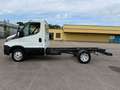 Iveco Daily 35 C14*Fahrgestell*Tempomat*ASR*ESP Blanc - thumbnail 2