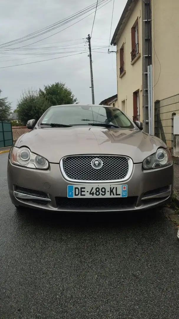 Jaguar XF 2.7L V6 D BI-TURBO LUXE - 1