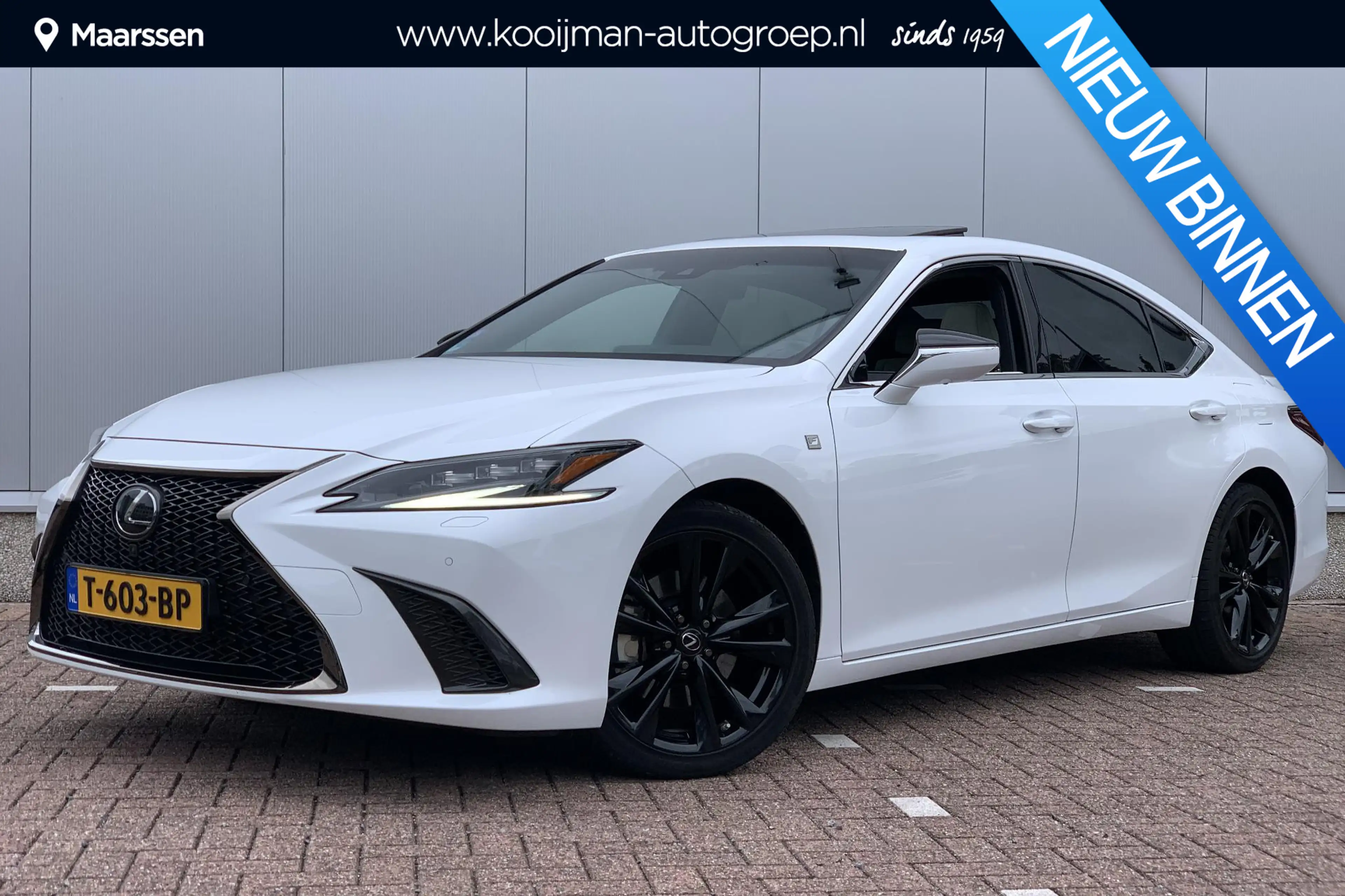 Lexus ES 300 300h F Sport Line / Schuif- Kanteldak / Elektrisch