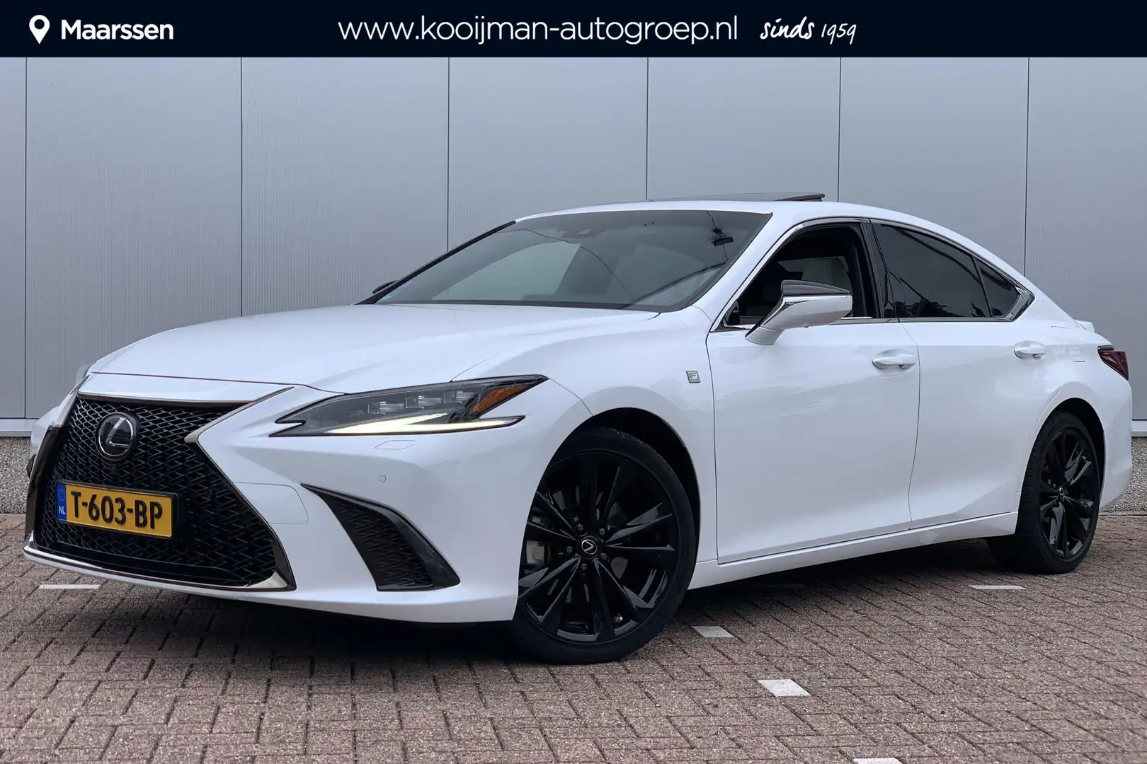 Lexus ES 300 300h F Sport Line / Schuif- Kanteldak / Elektrisch Weiß - 1