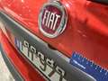 Fiat New Panda 1.2  Pop Rouge - thumbnail 24