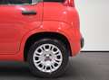 Fiat New Panda 1.2  Pop Rouge - thumbnail 20
