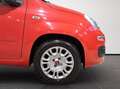 Fiat New Panda 1.2  Pop Rouge - thumbnail 22