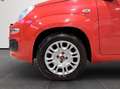 Fiat New Panda 1.2  Pop Rouge - thumbnail 19