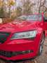 Skoda Superb 2.0 TSI 4x4 Sportline Rood - thumbnail 4