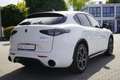 Alfa Romeo Stelvio 2.0 Turbo 16V Aut. Matrix ACC Navi Blanc - thumbnail 5