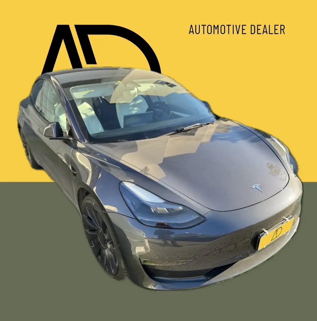 Tesla Model 3 Performance awd AUTOPILOT MASSIMO POTENZIALE 3 - 2