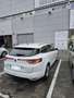 Renault Megane 1.5dCi Energy Business 81kW Blanc - thumbnail 1