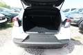 Mitsubishi ASX Plus MT SHZ LED+ Keyl LM17 CarPlay PrivG Kam 67... Weiß - thumbnail 11