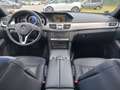 Mercedes-Benz E 350 d/PANORAMA/LEDER/XENON/R,KAMERA/MEMORIY Bílá - thumbnail 9