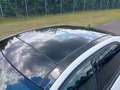 Mercedes-Benz E 350 d/PANORAMA/LEDER/XENON/R,KAMERA/MEMORIY Bílá - thumbnail 2
