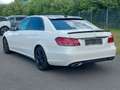 Mercedes-Benz E 350 d/PANORAMA/LEDER/XENON/R,KAMERA/MEMORIY Bílá - thumbnail 15