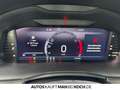 Skoda Kamiq 1.0 TSI Style Black Bluetooth LED Klima Pomarańczowy - thumbnail 11