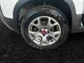 Fiat Panda 4x4 1,3 Multijet II 95 4x4 Cross Weiß - thumbnail 6