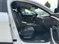Mazda CX-30 2.0 M Hy. 150 Selection 2WD/DES-P/PRE-P Weiß - thumbnail 11