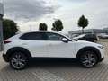 Mazda CX-30 2.0 M Hy. 150 Selection 2WD/DES-P/PRE-P Weiß - thumbnail 8