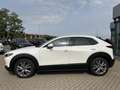 Mazda CX-30 2.0 M Hy. 150 Selection 2WD/DES-P/PRE-P Weiß - thumbnail 4