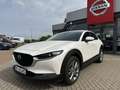 Mazda CX-30 2.0 M Hy. 150 Selection 2WD/DES-P/PRE-P Weiß - thumbnail 3