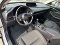 Mazda CX-30 2.0 M Hy. 150 Selection 2WD/DES-P/PRE-P Weiß - thumbnail 13