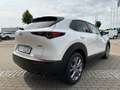 Mazda CX-30 2.0 M Hy. 150 Selection 2WD/DES-P/PRE-P Weiß - thumbnail 7