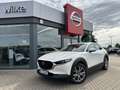 Mazda CX-30 2.0 M Hy. 150 Selection 2WD/DES-P/PRE-P Weiß - thumbnail 1