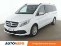 Mercedes-Benz V 300 V 300 d 4MATIC AVANTGARDE EDITION 19 lang Aut.*LED Weiß - thumbnail 1