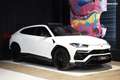 Lamborghini Urus | BIANCO MONOCERUS Akrapovic SENSONUM TOIT PANORAMIQUE Caméra 360° HUD Soft Close Wit - thumbnail 1