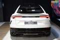Lamborghini Urus | BIANCO MONOCERUS Akrapovic SENSONUM TOIT PANORAMIQUE Caméra 360° HUD Soft Close Wit - thumbnail 4
