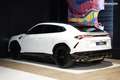 Lamborghini Urus | BIANCO MONOCERUS Akrapovic SENSONUM TOIT PANORAMIQUE Caméra 360° HUD Soft Close Wit - thumbnail 3