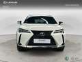Lexus UX 200 SUV PREMIUM 2.0 Híbrido Gasolina Transmisión Aut Blanco - thumbnail 5