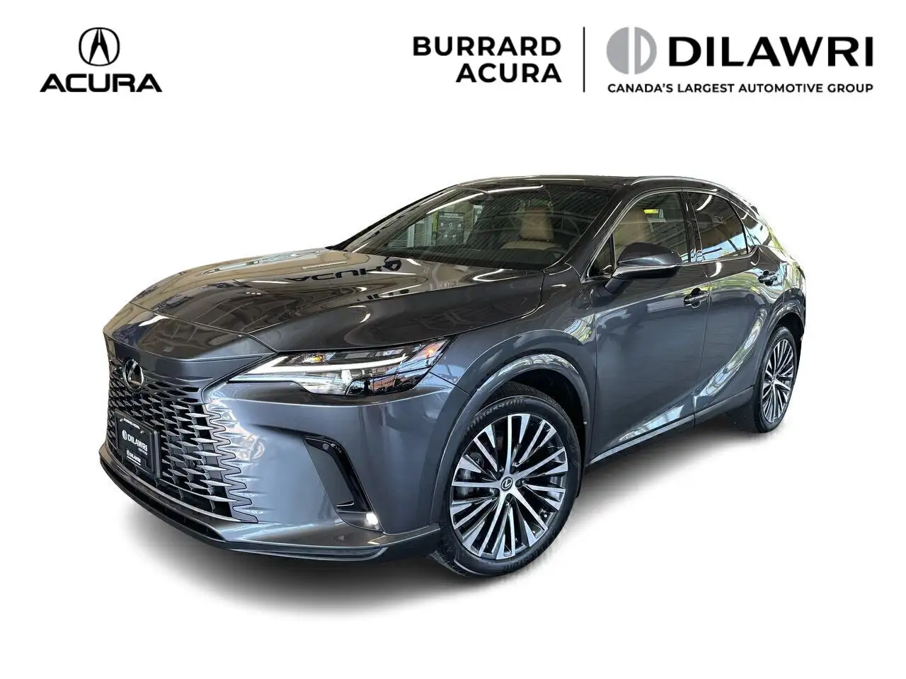 2025 Lexus RX