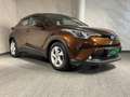 Toyota C-HR Basis 1.8i Hybrid Active Drive Bronze - thumbnail 6