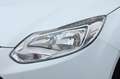 Ford Focus 1.6 TDCi 115 CV Bianco - thumbnail 15