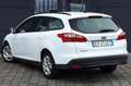 Ford Focus 1.6 TDCi 115 CV Bianco - thumbnail 4