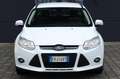 Ford Focus 1.6 TDCi 115 CV Bianco - thumbnail 14