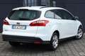Ford Focus 1.6 TDCi 115 CV Bianco - thumbnail 3