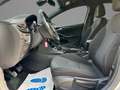 Opel Astra K Dynamic*1.Hd*Scheckheft*TÜV NEU*SHZ*Temp Plateado - thumbnail 9