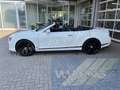 Bentley Continental GTC 4,0 V8 S ConcoursSeries Black S Weiß - thumbnail 8