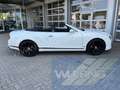 Bentley Continental GTC 4,0 V8 S ConcoursSeries Black S Weiß - thumbnail 9