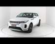 Land Rover Range Rover Evoque 2.0D I4-L.Flw 150 CV AWD Auto Bianco - thumbnail 1