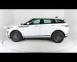 Land Rover Range Rover Evoque 2.0D I4-L.Flw 150 CV AWD Auto Bianco - thumbnail 3