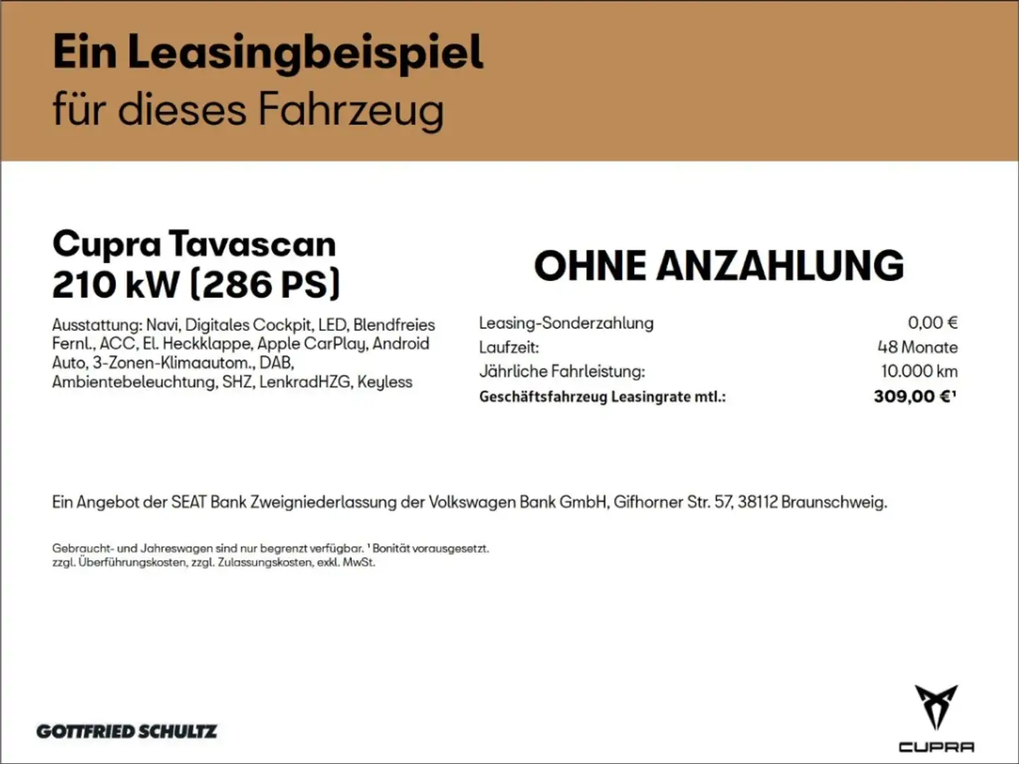 CUPRA Tavascan ENDURANCE GEWERBE 309 EURO NETTO Silber - 2