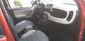 Fiat Panda Panda 1.3 mjt 16v 4x4 75cv Ok Neo-Patentati Rosso - thumbnail 10