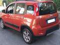 Fiat Panda Panda 1.3 mjt 16v 4x4 75cv Ok Neo-Patentati Rosso - thumbnail 5
